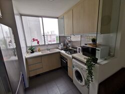 The Parc Condominium (D5), Condominium #476198291